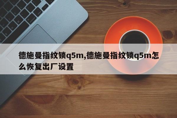 德施曼指纹锁q5m,德施曼指纹锁q5m怎么恢复出厂设置 第1张