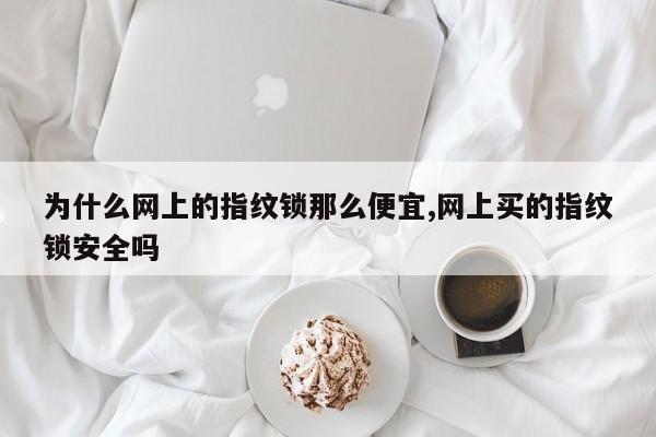 为什么网上的指纹锁那么便宜,网上买的指纹锁安全吗 第1张