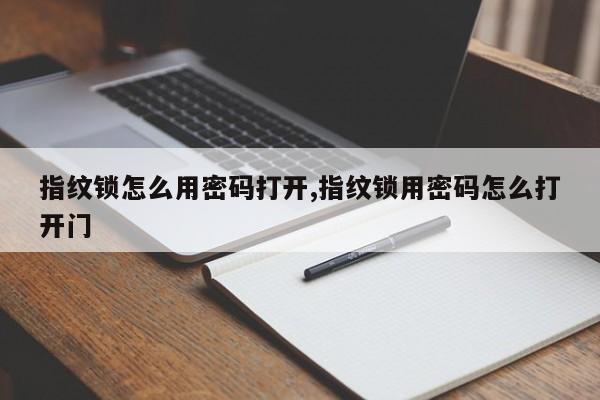 指纹锁怎么用密码打开,指纹锁用密码怎么打开门 第1张