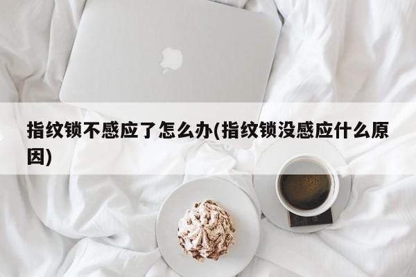 指纹锁不感应了怎么办(指纹锁没感应什么原因)