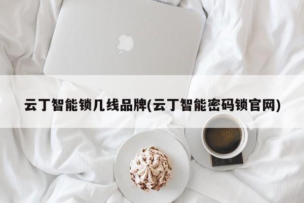 云丁智能锁几线品牌(云丁智能密码锁官网)