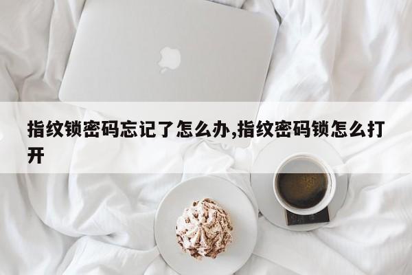 指纹锁密码忘记了怎么办,指纹密码锁怎么打开