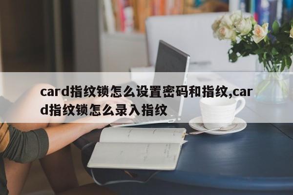 card指纹锁怎么设置密码和指纹,card指纹锁怎么录入指纹