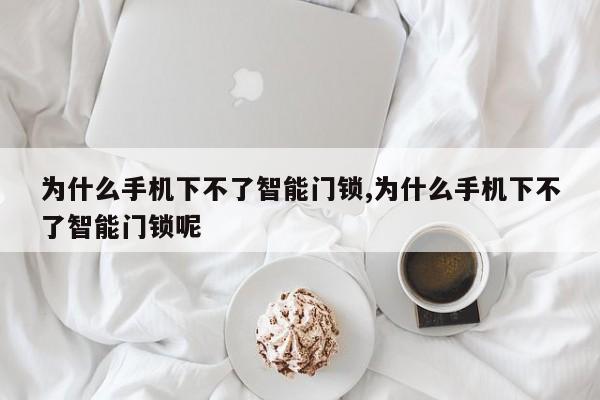 为什么手机下不了智能门锁,为什么手机下不了智能门锁呢 第1张