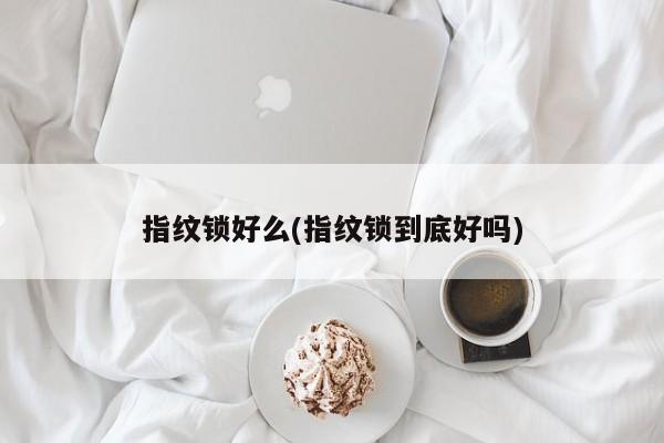 指纹锁好么(指纹锁到底好吗)