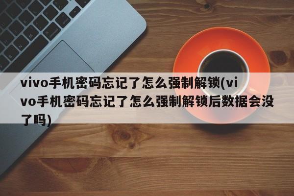 vivo手机密码忘记了怎么强制解锁(vivo手机密码忘记了怎么强制解锁后数据会没了吗)