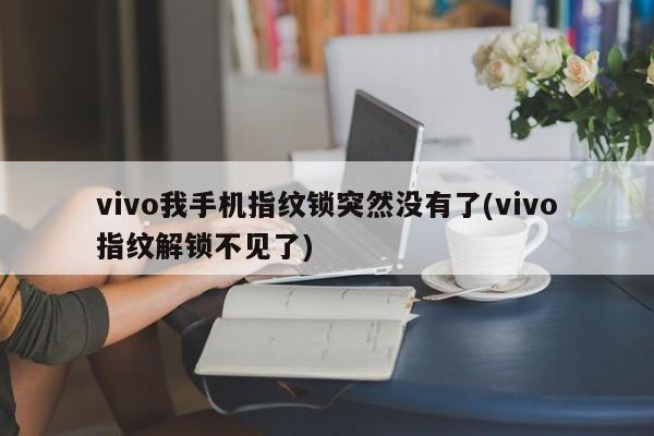 vivo我手机指纹锁突然没有了(vivo指纹解锁不见了) 第1张