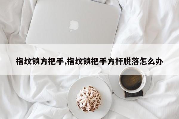 指纹锁方把手,指纹锁把手方杆脱落怎么办