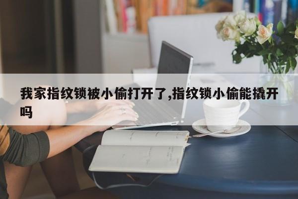 我家指纹锁被小偷打开了,指纹锁小偷能撬开吗