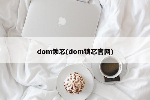 dom锁芯(dom锁芯官网) 第1张