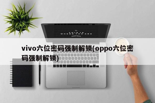 vivo六位密码强制解锁(oppo六位密码强制解锁)