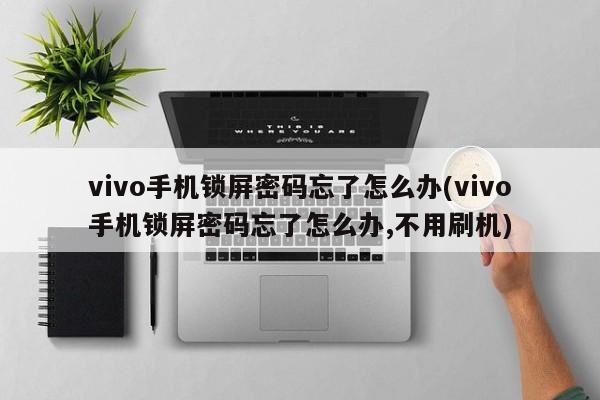 vivo手机锁屏密码忘了怎么办(vivo手机锁屏密码忘了怎么办,不用刷机)