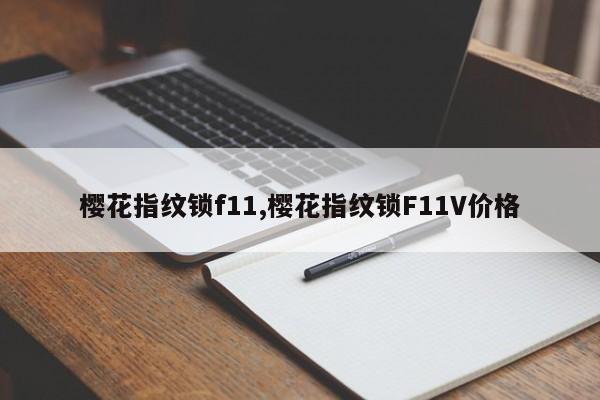 樱花指纹锁f11,樱花指纹锁F11V价格 第1张