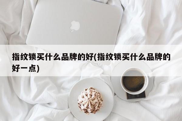 指纹锁买什么品牌的好(指纹锁买什么品牌的好一点) 第1张