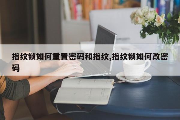 指纹锁如何重置密码和指纹,指纹锁如何改密码