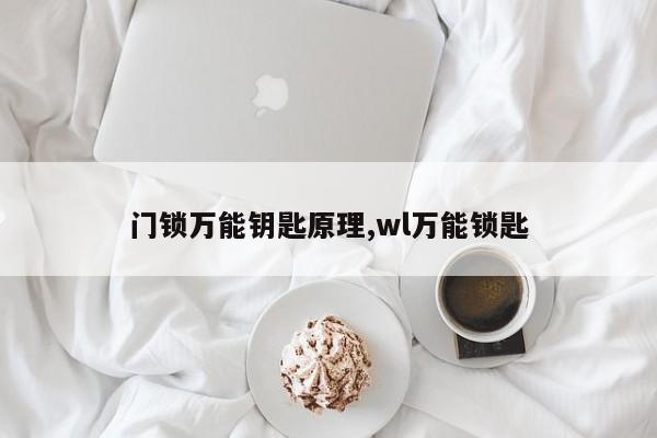 门锁万能钥匙原理,wl万能锁匙