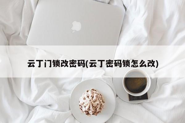 云丁门锁改密码(云丁密码锁怎么改)