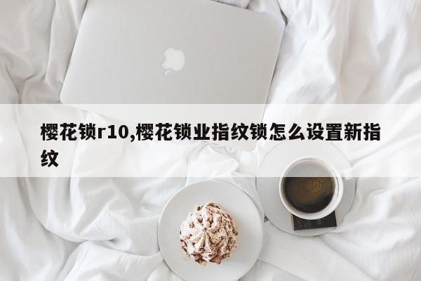 樱花锁r10,樱花锁业指纹锁怎么设置新指纹 第1张