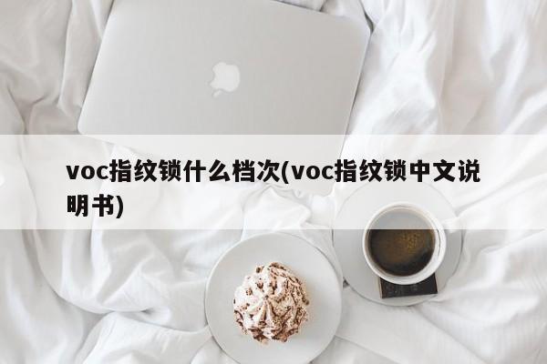 voc指纹锁什么档次(voc指纹锁中文说明书) 第1张