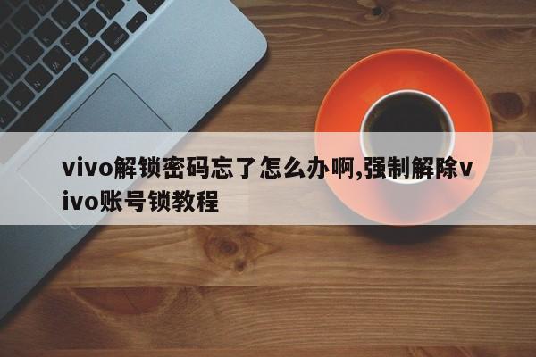 vivo解锁密码忘了怎么办啊,强制解除vivo账号锁教程 第1张