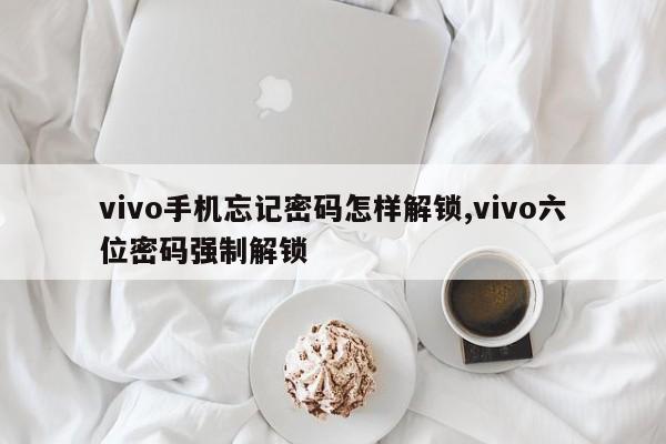 vivo手机忘记密码怎样解锁,vivo六位密码强制解锁 第1张