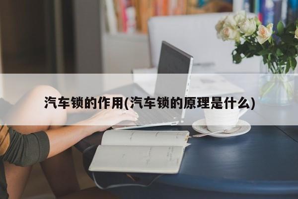 汽车锁的作用(汽车锁的原理是什么)