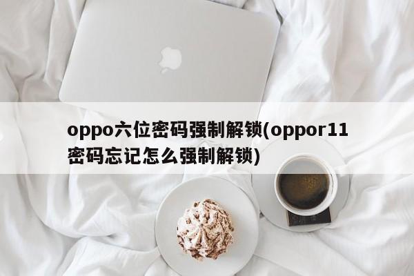 oppo六位密码强制解锁(oppor11密码忘记怎么强制解锁) 第1张