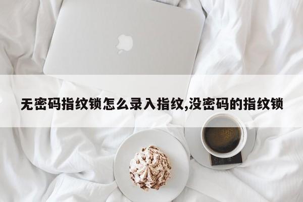 无密码指纹锁怎么录入指纹,没密码的指纹锁 第1张