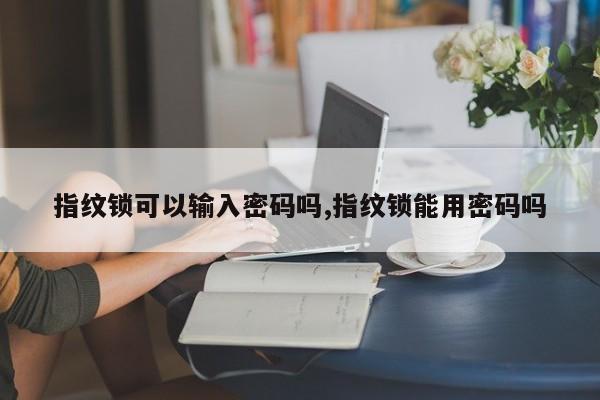 指纹锁可以输入密码吗,指纹锁能用密码吗