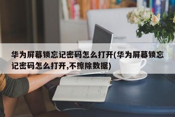 华为屏幕锁忘记密码怎么打开(华为屏幕锁忘记密码怎么打开,不擦除数据)