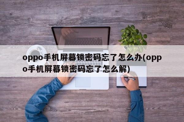 oppo手机屏幕锁密码忘了怎么办(oppo手机屏幕锁密码忘了怎么解)