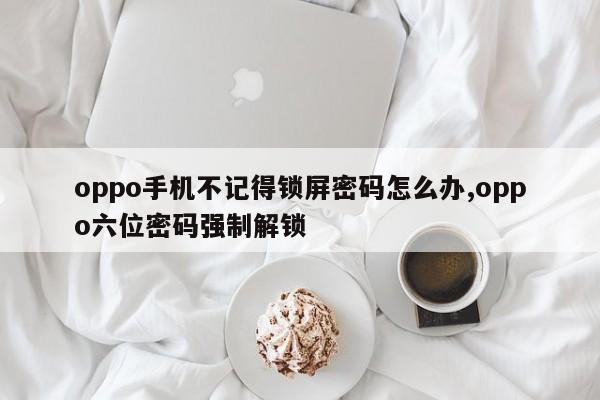 oppo手机不记得锁屏密码怎么办,oppo六位密码强制解锁 第1张