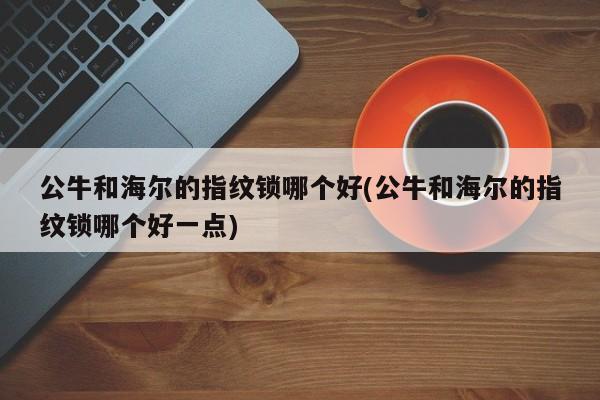 公牛和海尔的指纹锁哪个好(公牛和海尔的指纹锁哪个好一点)