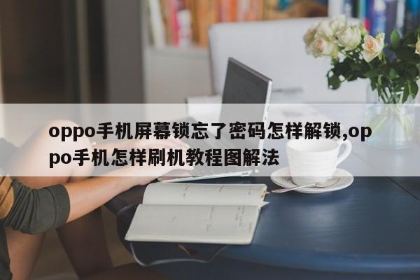 oppo手机屏幕锁忘了密码怎样解锁,oppo手机怎样刷机教程图解法