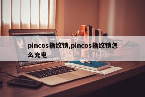 pincos指纹锁,pincos指纹锁怎么充电 第1张