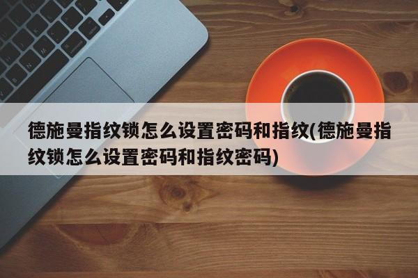 德施曼指纹锁怎么设置密码和指纹(德施曼指纹锁怎么设置密码和指纹密码) 第1张