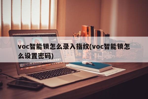 voc智能锁怎么录入指纹(voc智能锁怎么设置密码) 第1张