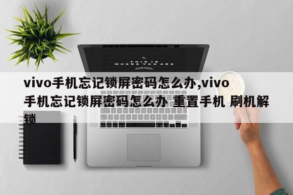 vivo手机忘记锁屏密码怎么办,vivo手机忘记锁屏密码怎么办 重置手机 刷机解锁