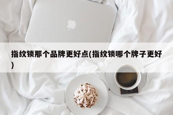 指纹锁那个品牌更好点(指纹锁哪个牌子更好) 第1张