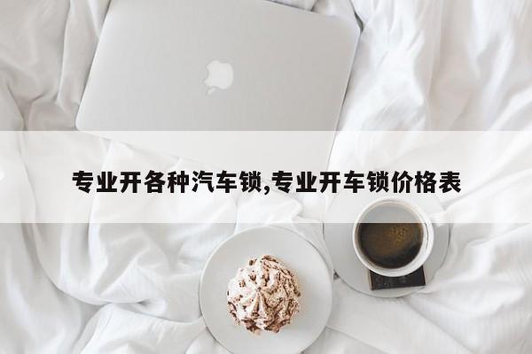 专业开各种汽车锁,专业开车锁价格表