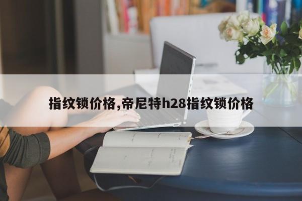 指纹锁价格,帝尼特h28指纹锁价格 第1张