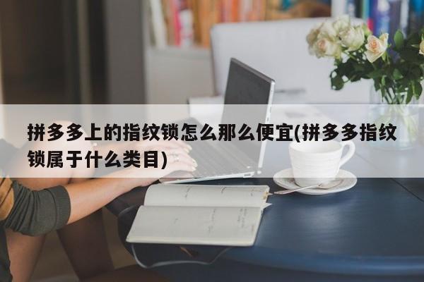 拼多多上的指纹锁怎么那么便宜(拼多多指纹锁属于什么类目) 第1张