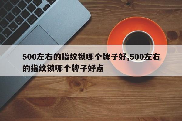 500左右的指纹锁哪个牌子好,500左右的指纹锁哪个牌子好点 第1张