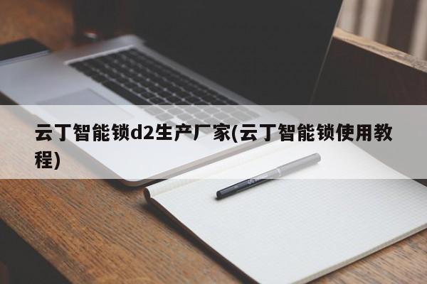 云丁智能锁d2生产厂家(云丁智能锁使用教程) 第1张