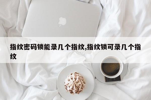 指纹密码锁能录几个指纹,指纹锁可录几个指纹