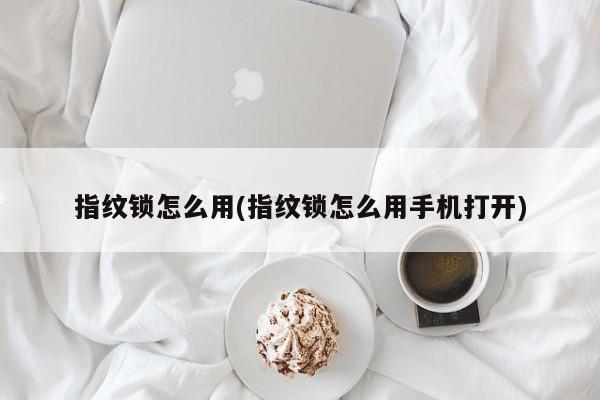 指纹锁怎么用(指纹锁怎么用手机打开)