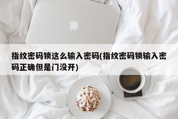 指纹密码锁这么输入密码(指纹密码锁输入密码正确但是门没开) 第1张