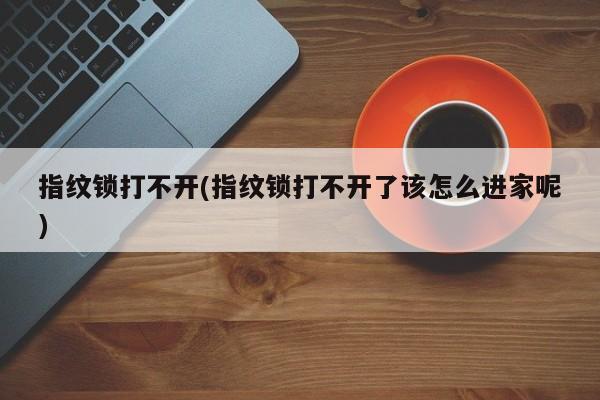 指纹锁打不开(指纹锁打不开了该怎么进家呢)