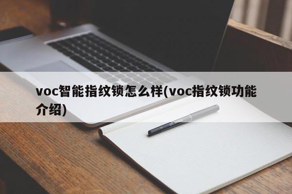 voc智能指纹锁怎么样(voc指纹锁功能介绍) 第1张