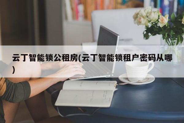 云丁智能锁公租房(云丁智能锁租户密码从哪)